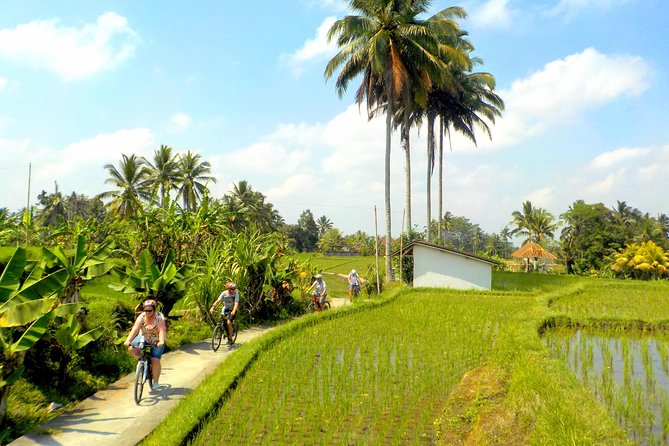 Half-Day Ubud Electric Cycling Tour to Tirta Empul Water Temple - The riding level, hills, and electric assistance