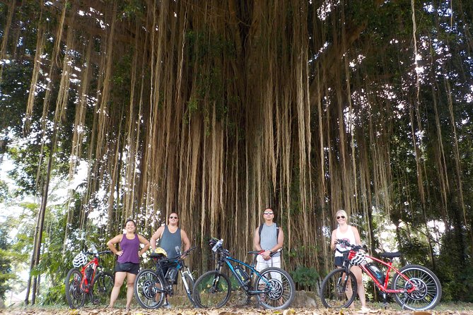 Half-Day Ubud Electric Cycling Tour to Tirta Empul Water Temple - Tirta Empul after the ride