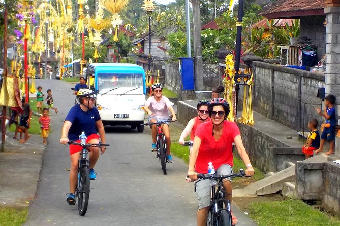Half-Day Ubud Electric Cycling Tour to Tirta Empul Water Temple - What the $49 price really includes