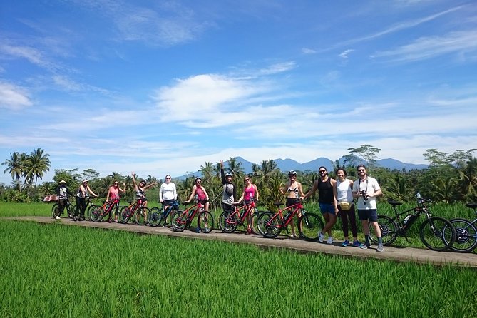 Half-Day Ubud Electric Cycling Tour to Tirta Empul Water Temple - Rice fields, village roads, and the quieter side of Ubud
