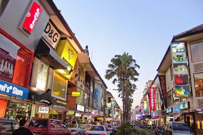 Half Day Ubud Village Private All Inclusive Tour - Indonesian lunch with vegetarian choices