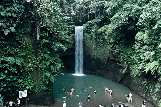 Half Day Ubud Waterfall Tour - What $32 includes, and where the value lies