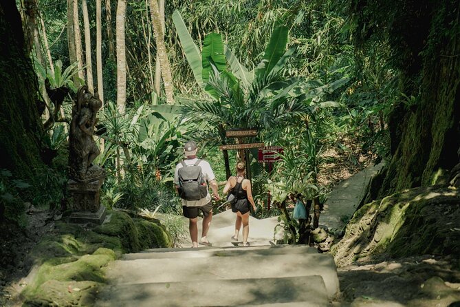 Half Day Ubud Waterfall Tour - Taman Sari Waterfall and the natural pool