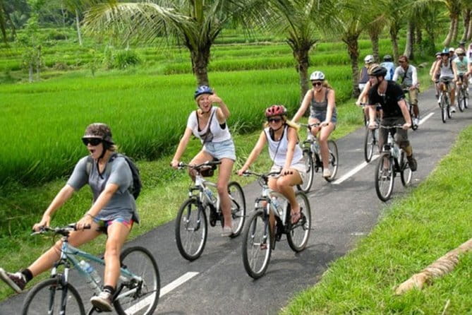 Halo Bike Cycling Tour Downhill - Early pickup and the ride toward Ubud’s countryside