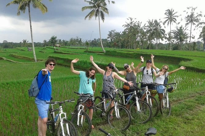 Halo Bike Cycling Tour Downhill - Cycling through rice fields and village lanes