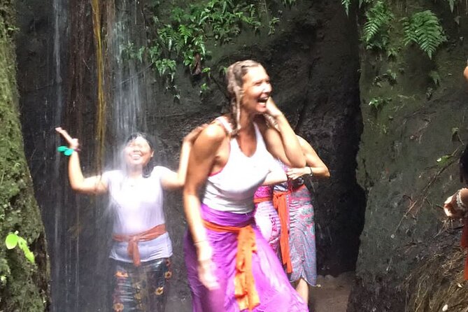 Healing and Purifications Tour in Bali - Beginning With a Private Ride From Seminyak