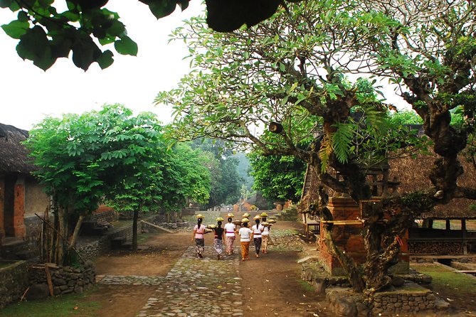 Heaven Gate East Bali Tour - Tenganan Ancient Village and old Balinese customs