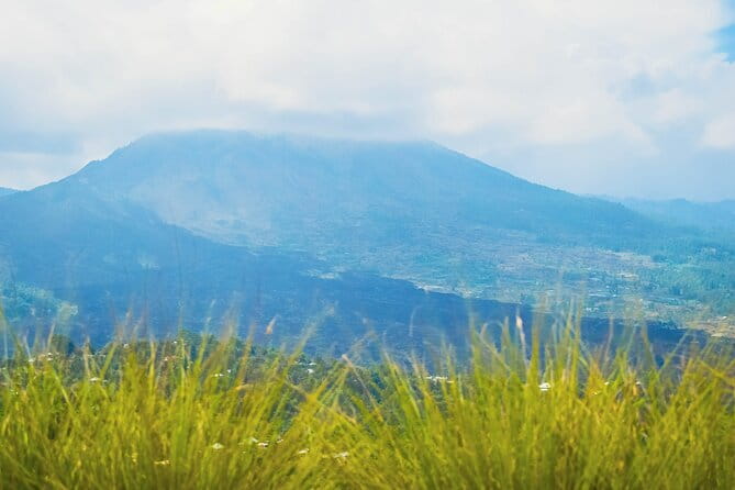 Highlight of Bali Tour - Afternoon tea near Bukit Jati