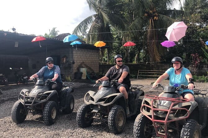 Highlight of Bali Tour - Guides, vehicles, and the shape of the day