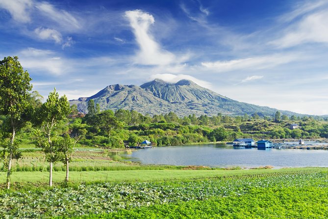 Highlights of Ubud & Mount Batur Volcano - Private Day Trip - Monkey Forest: macaques in a sacred setting