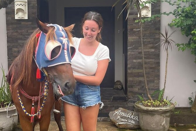 Horse Ride On The Beach Gili Islands - Is $50 a fair price?