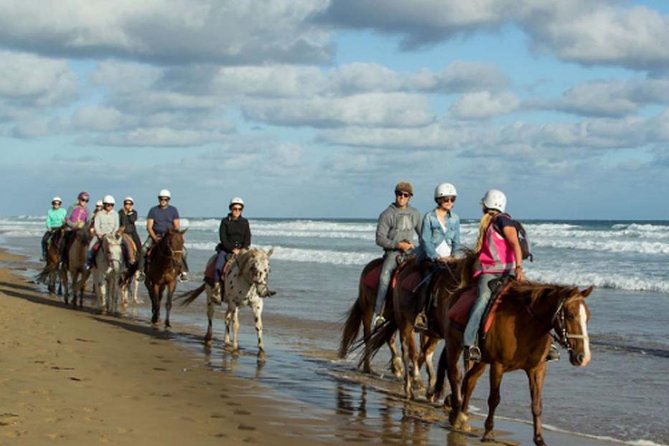 Horse Riding on the Black Sand Beach and Free Hotel Transfers - One horse, one rider, and a clear safety limit