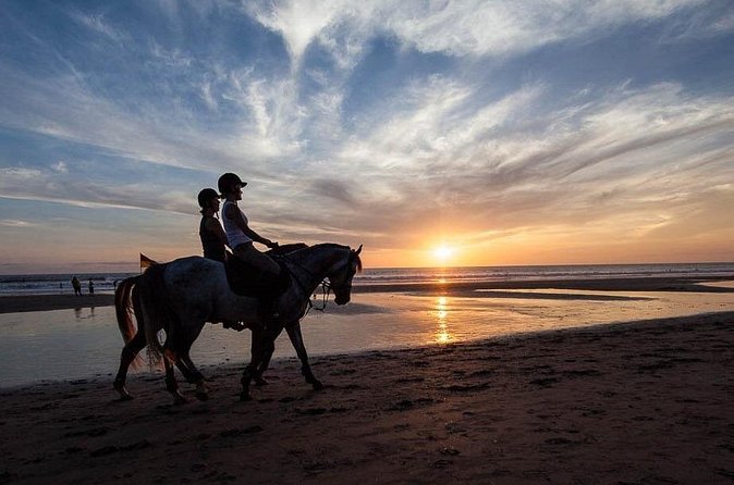 Horse Riding on the Black Sand Beach and Free Hotel Transfers - What the ride feels like on Saba Beach