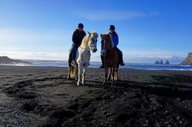 Horse Riding on the Black Sand Beach and Free Hotel Transfers - Who will get the most from this outing