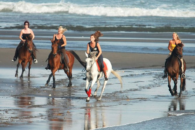 Horse Riding on the Black Sand Beach and Free Hotel Transfers - What happens from hotel pickup to the beach