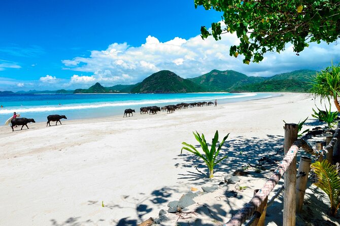 Instagramable Beach Hopping Trip - Mawun Beach brings another white-sand stop