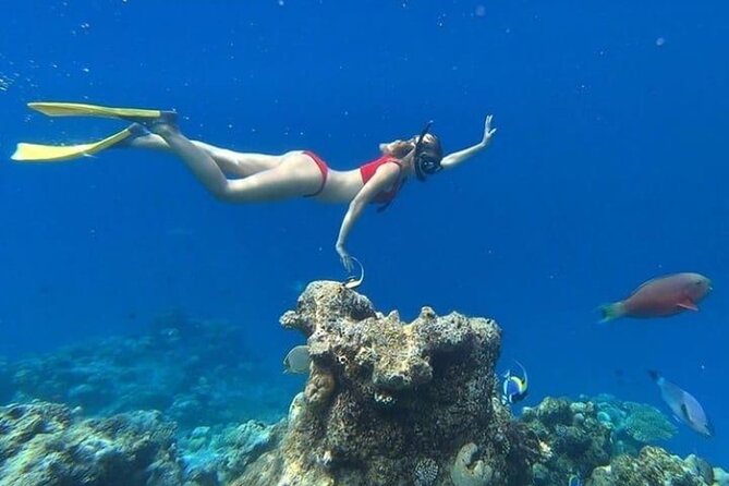 Island Hoping 5 Gili : Gili Gede, Asahan, Rengit, Layar & Goleng - Gili Layar: open water and a natural pause