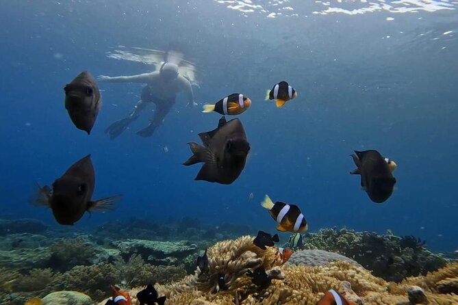 Island Hoping 5 Gili : Gili Gede, Asahan, Rengit, Layar & Goleng - Gili Asahan: the most developed island in the group