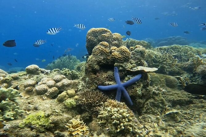 Island Hoping 5 Gili : Gili Gede, Asahan, Rengit, Layar & Goleng - Gili Goleng: confirm the exact stop plan