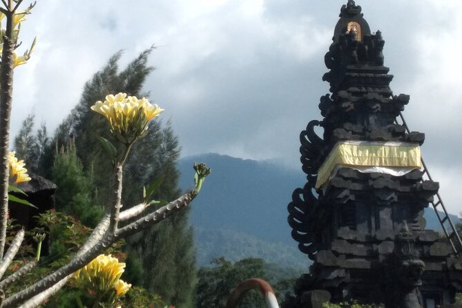 Jakarta Bogor Botanical Garden, Waterfall and Rice terrace, Lunch - Two hours among tropical plants at Kebun Raya Bogor