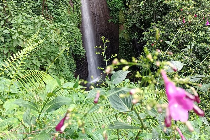 Jakarta Bogor Botanical Garden, Waterfall and Rice terrace, Lunch - Seeing Sundanese craft at a wayang golek workshop