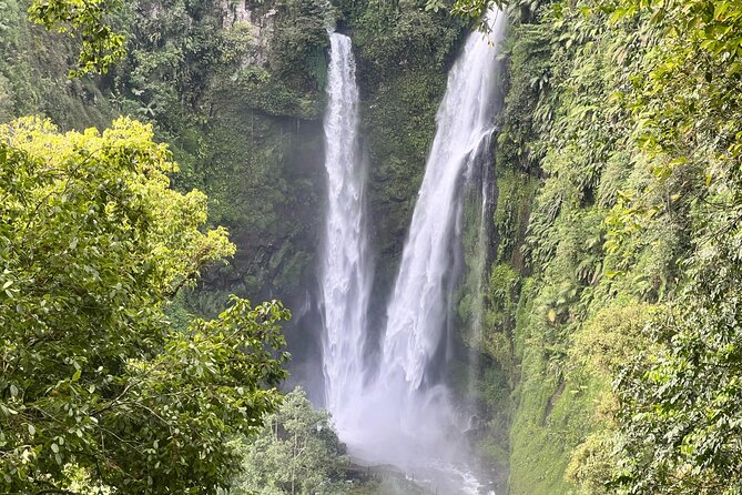 Jakarta Rainforest Hiking to Hidden Waterfall & Suspension Bridge - Key points to know before you book