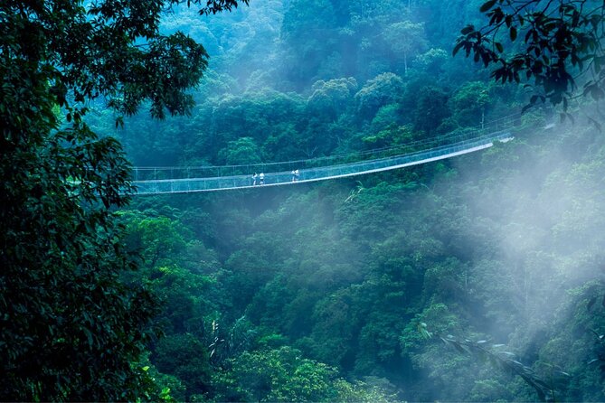 Jakarta Rainforest Hiking to Hidden Waterfall & Suspension Bridge - The 1.5-kilometer walk to Curug Sawer