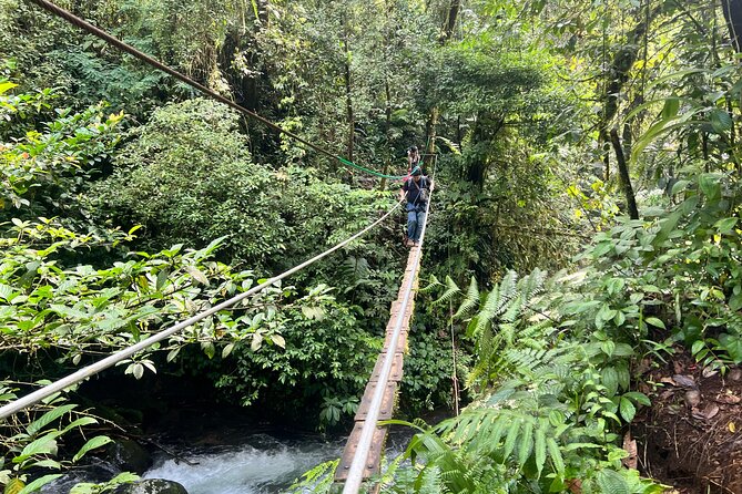Jakarta Rainforest Hiking to Hidden Waterfall & Suspension Bridge - What the $133.79 price covers