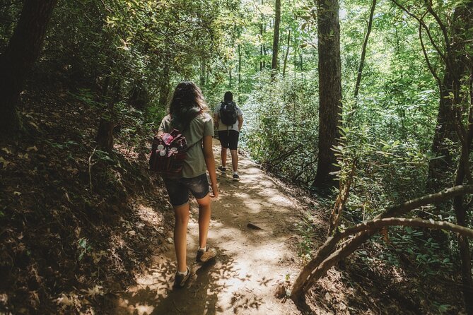 Jakarta Rainforest Hiking to Hidden Waterfall & Suspension Bridge - The guide and the feel of a small group