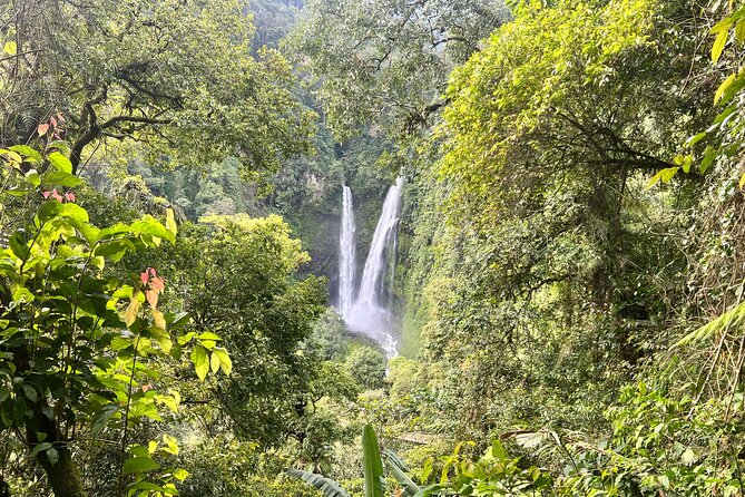 Jakarta Rainforest Hiking to Hidden Waterfall & Suspension Bridge - What to bring and how to judge the physical demands