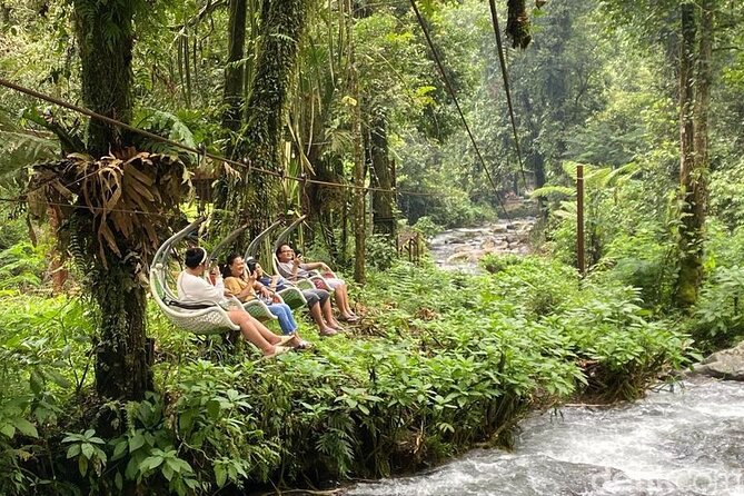 Jakarta Rainforest Hiking to Hidden Waterfall & Suspension Bridge - Who will get the most from this day