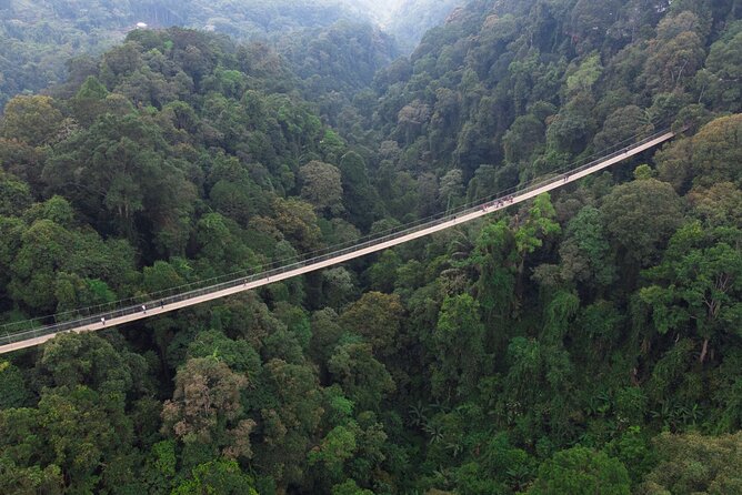 Jakarta Rainforest Hiking to Hidden Waterfall & Suspension Bridge - Booking, weather, and cancellation details