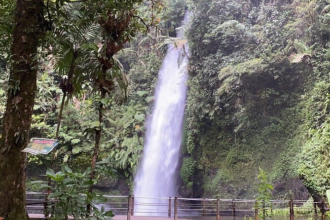 Jakarta Rainforest Hiking to Hidden Waterfall & Suspension Bridge - Four hours through Gede Pangrango National Park