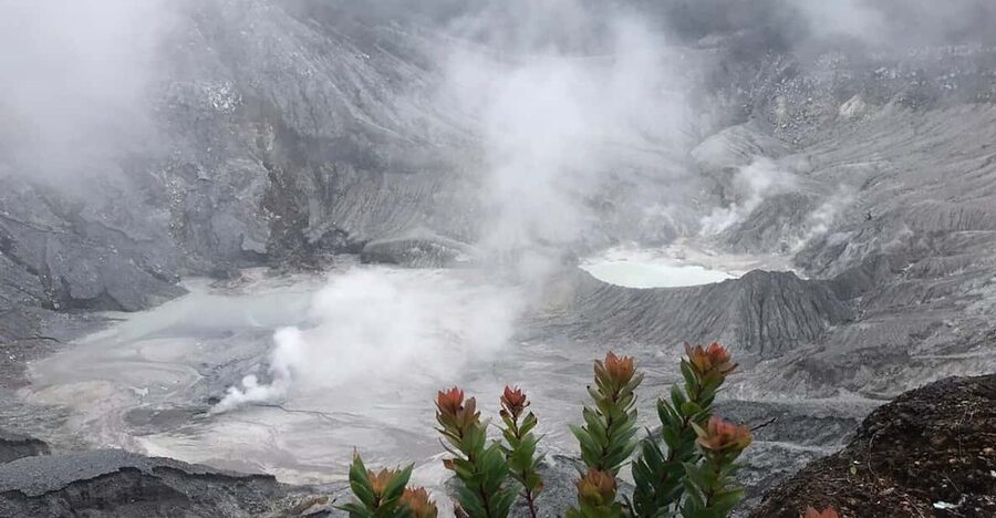 Jakarta: Volcano, Tea/Rice Fields, Hot Spring, Local Food - Is $114 good value?