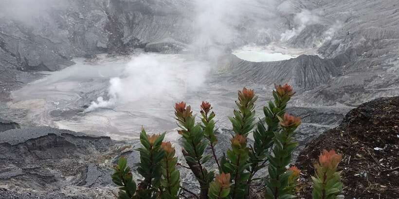 Jakarta: Volcano, Tea/Rice Fields, Hot Spring, Local Food - Tangkuban Parahu’s sulfur crater