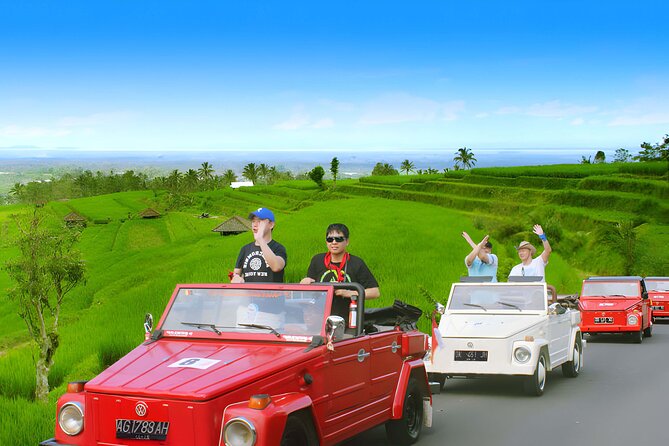 Jatiluwih VW Safari Bali Tour - Volkswagen Classic Car Trip - Taman Ayun begins the temple circuit
