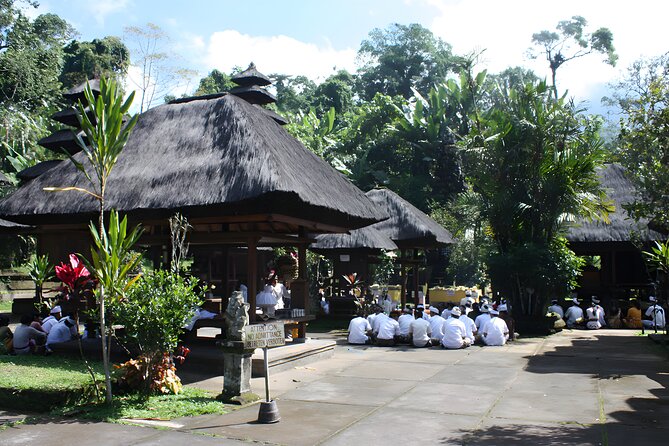 Jatiluwih VW Safari Bali Tour - Volkswagen Classic Car Trip - Who will enjoy this route most