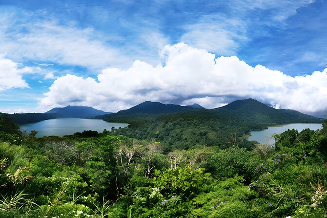 Jungle Trekking and Tamblingan Lake Canoeing in Bali Rainforest - Why a private tour changes the experience