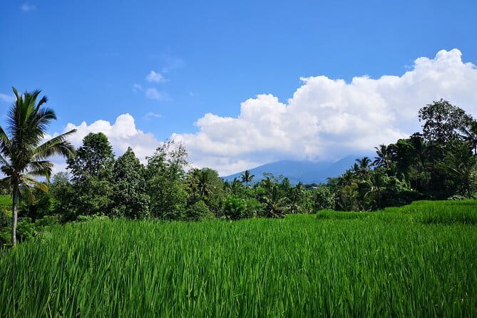 Jungle Trekking at Mt. Batukaru, scenic Waterfall & village life - Why Mount Batukaru feels different from a standard Bali day trip