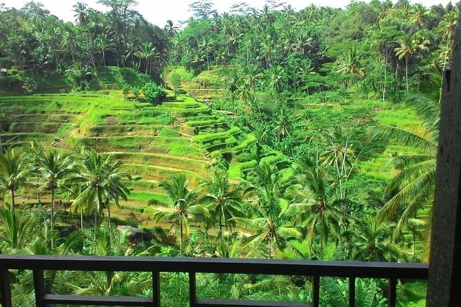 Jungle Trekking at Mt. Batukaru, scenic Waterfall & village life - Homemade lunch at Warung Balikaru