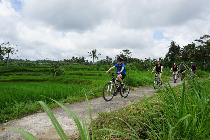 Kintamani Cultural and Nature Cycling Tour ( Manual Bike ) - Why the downhill route makes this a smart Ubud day trip