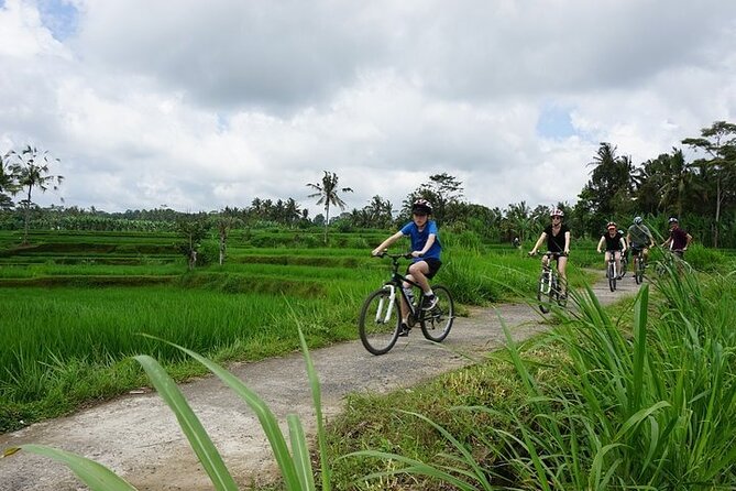 Kintamani Cultural and Nature Cycling Tour ( Manual Bike ) - A local home and the human side of Bali