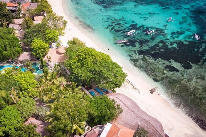 Komodo Island Adventure from Bali (Day Trip) - One hour among Komodo dragons