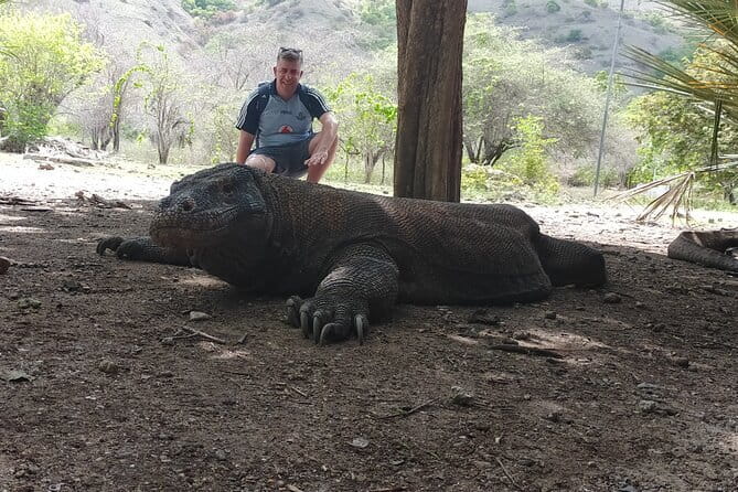 Komodo Island Adventure from Bali (Day Trip) - Private boat travel, with one important warning