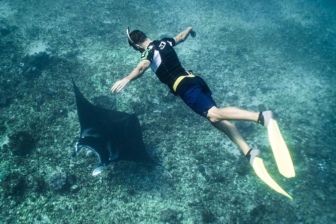 Komodo Private Boat tour 3Days 2 Night - Three Snorkeling Stops on the Final Day