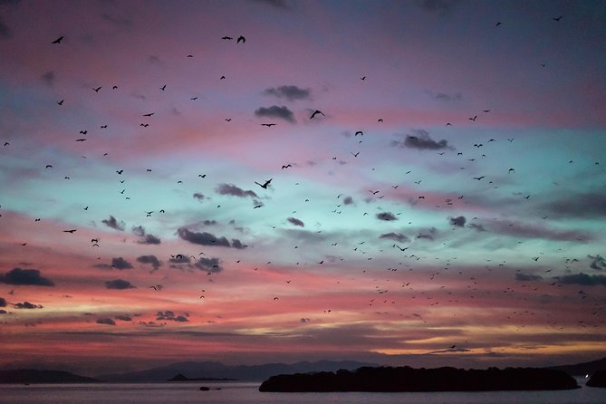 Komodo Private Boat tour 3Days 2 Night - Padar Island: The View That Requires a Trek
