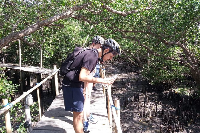 Kuta Beach eBike Private Tour - Is the $116 price fair?