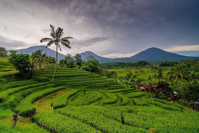 Kuta Half Day Tour - Krisna Sunset Road for affordable souvenirs