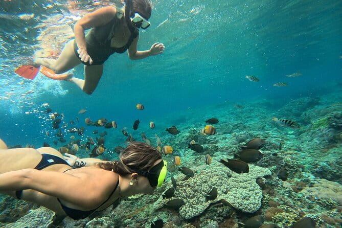Lembongan Snorkeling at Manta Bay, Crystal Bay and Mangrove - Manta Bay gives the morning its purpose