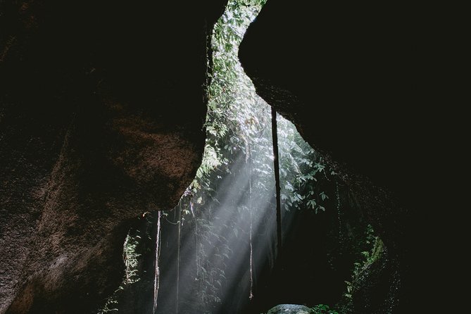Lempuyang Gates of Heaven, Tirta Gangga Temple Swim & Jungle Waterfalls - Who should book this day out